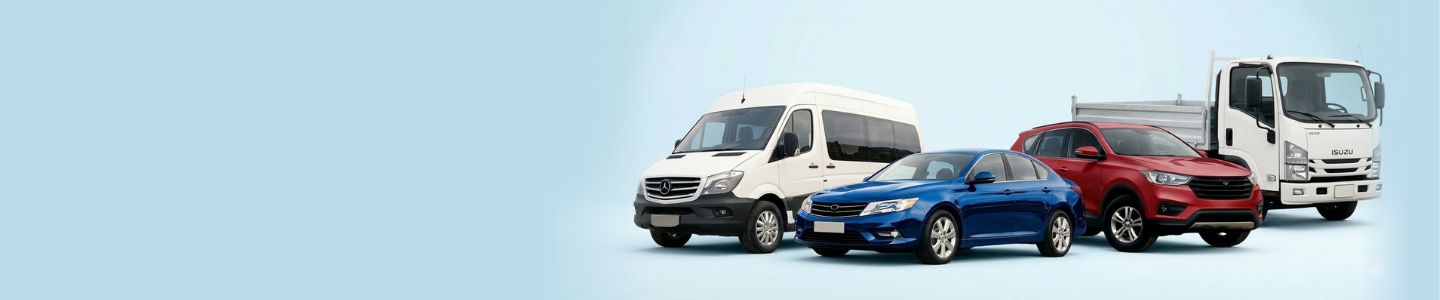 Transporte de Pasajeros y Arriendo de Vehículos